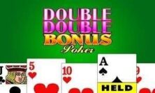 Double Double Bonus Slot