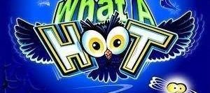 What A Hoot