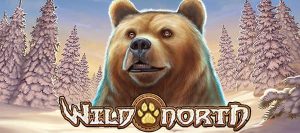 Wild North